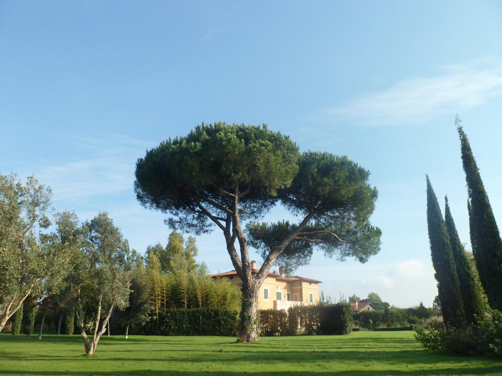 Casale Di Tormaggiore Villa And Country Suites Pomezia Luaran gambar