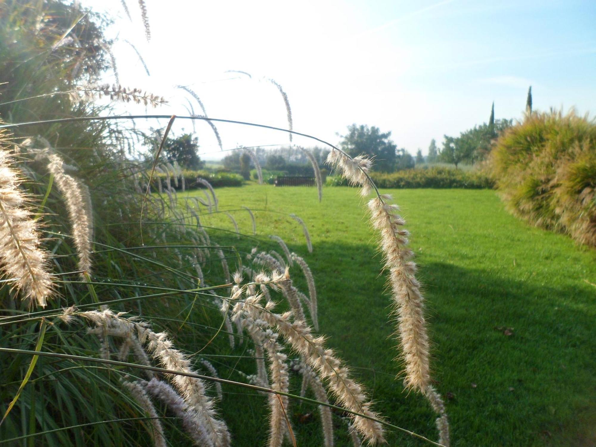 Casale Di Tormaggiore Villa And Country Suites Pomezia Luaran gambar