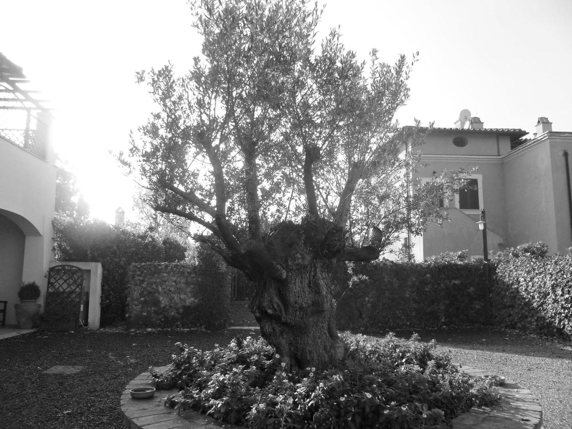 Casale Di Tormaggiore Villa And Country Suites Pomezia Luaran gambar